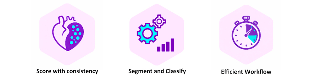 サンプルイメージ