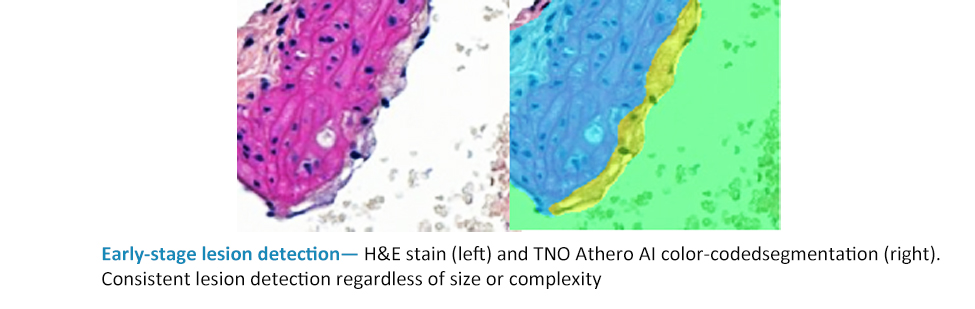 サンプルイメージ