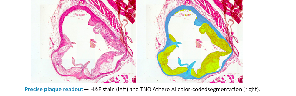 サンプルイメージ