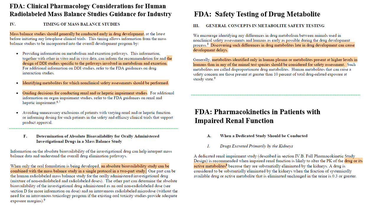 サンプルイメージ