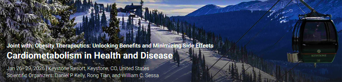 サンプルイメージ